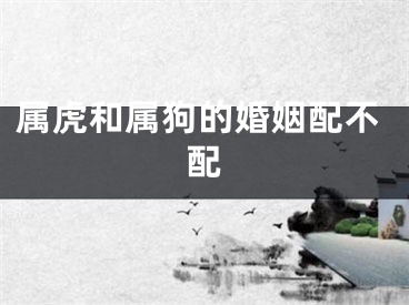 属虎和属狗的婚姻配不配