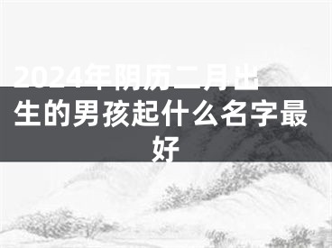 2024年阴历二月出生的男孩起什么名字最好