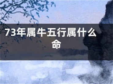 73年属牛五行属什么命