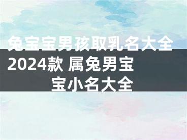 兔宝宝男孩取乳名大全2024款 属兔男宝宝小名大全