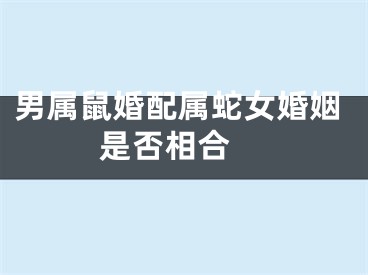 男属鼠婚配属蛇女婚姻是否相合 