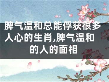 脾气温和总能俘获很多人心的生肖,脾气温和的人的面相