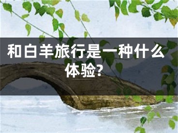 和白羊旅行是一种什么体验?