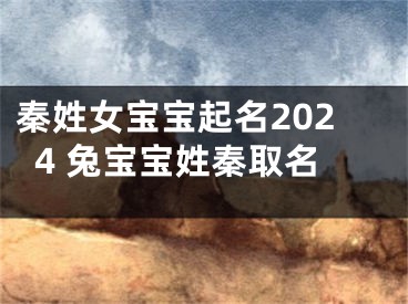 秦姓女宝宝起名2024 兔宝宝姓秦取名