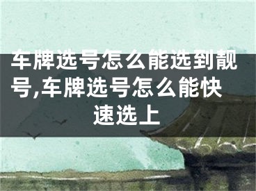 车牌选号怎么能选到靓号,车牌选号怎么能快速选上