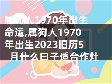 属狗人1970年出生命运,属狗人1970年出生2023旧历5月什么曰子适合作灶