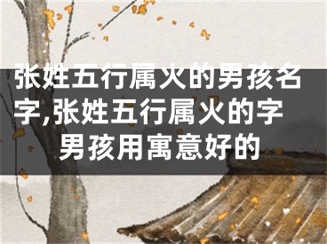 张姓五行属火的男孩名字,张姓五行属火的字男孩用寓意好的