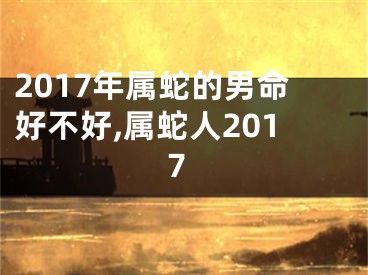 2017年属蛇的男命好不好,属蛇人2017