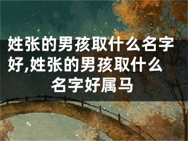 姓张的男孩取什么名字好,姓张的男孩取什么名字好属马