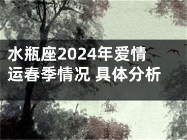 水瓶座2024年爱情运春季情况 具体分析