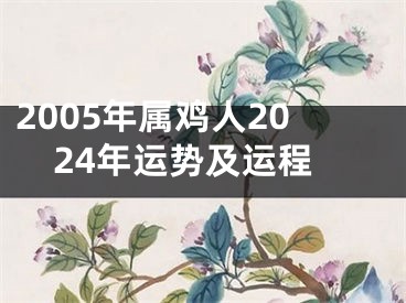 2005年属鸡人2024年运势及运程