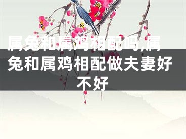 属兔和属鸡相配吗,属兔和属鸡相配做夫妻好不好