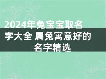 2024年兔宝宝取名字大全 属兔寓意好的名字精选