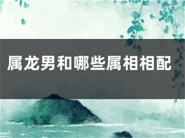 属龙男和哪些属相相配