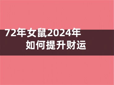 72年女鼠2024年如何提升财运