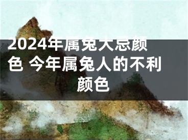 2024年属兔大忌颜色 今年属兔人的不利颜色