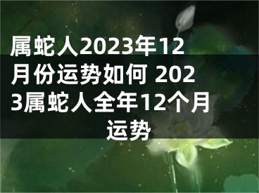属蛇人2023年12月份运势如何 2023属蛇人全年12个月运势