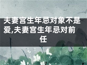 夫妻宫生年忌对象不是爱,夫妻宫生年忌对前任
