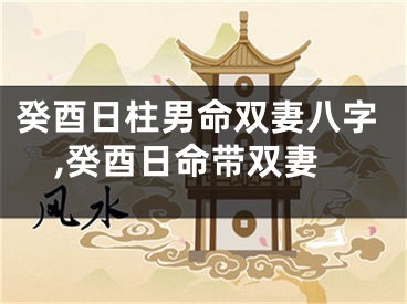癸酉日柱男命双妻八字,癸酉日命带双妻