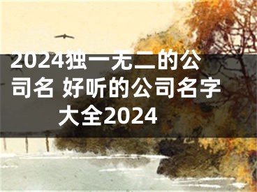 2024独一无二的公司名 好听的公司名字大全2024