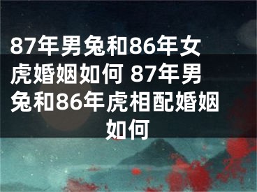 87年男兔和86年女虎婚姻如何 87年男兔和86年虎相配婚姻如何