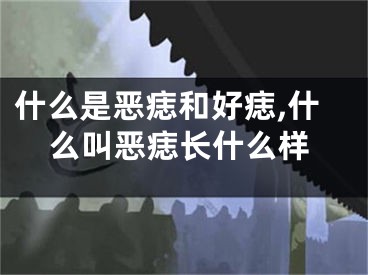 什么是恶痣和好痣,什么叫恶痣长什么样