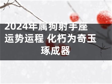 2024年属狗射手座运势运程 化朽为奇玉琢成器