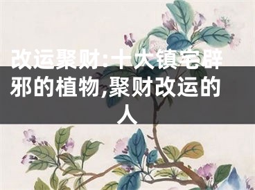 改运聚财:十大镇宅辟邪的植物,聚财改运的人