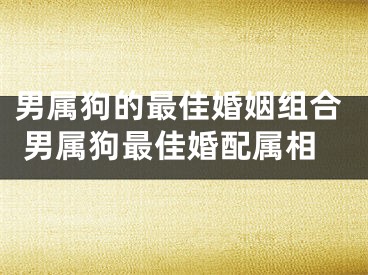 男属狗的最佳婚姻组合 男属狗最佳婚配属相