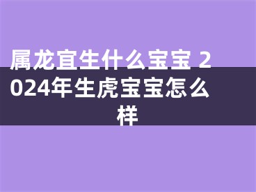 属龙宜生什么宝宝 2024年生虎宝宝怎么样