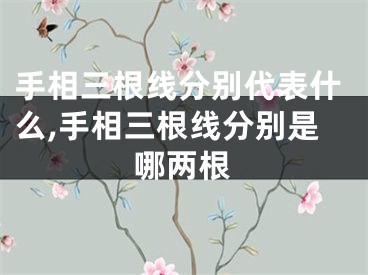 手相三根线分别代表什么,手相三根线分别是哪两根