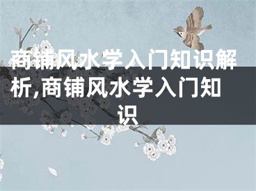 商铺风水学入门知识解析,商铺风水学入门知识