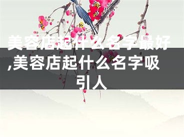 美容店起什么名字最好,美容店起什么名字吸引人