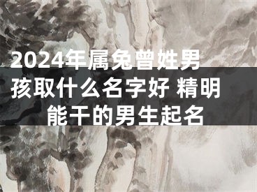 2024年属兔曾姓男孩取什么名字好 精明能干的男生起名