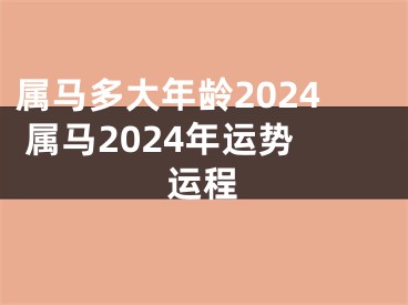 属马多大年龄2024 属马2024年运势运程
