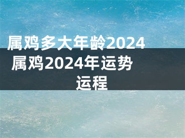 属鸡多大年龄2024 属鸡2024年运势运程