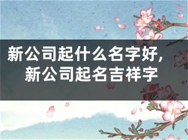 新公司起什么名字好,新公司起名吉祥字