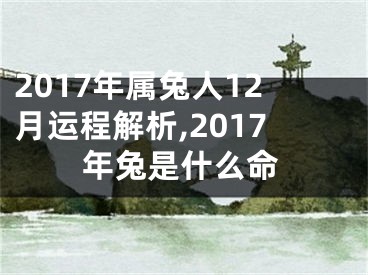 2017年属兔人12月运程解析,2017年兔是什么命