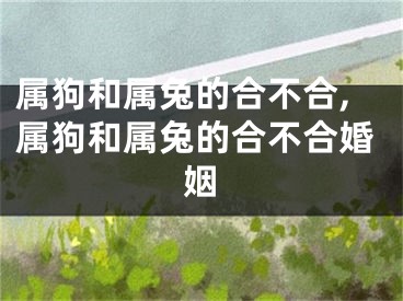 属狗和属兔的合不合,属狗和属兔的合不合婚姻