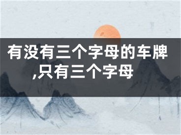 有没有三个字母的车牌,只有三个字母