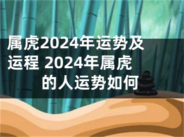 属虎2024年运势及运程 2024年属虎的人运势如何