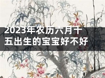 2023年农历六月十五出生的宝宝好不好 