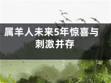 属羊人未来5年惊喜与刺激并存