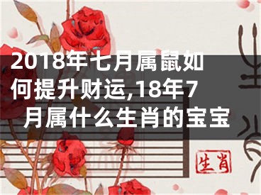 2018年七月属鼠如何提升财运,18年7月属什么生肖的宝宝