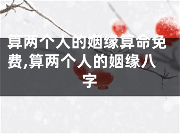 算两个人的姻缘算命免费,算两个人的姻缘八字