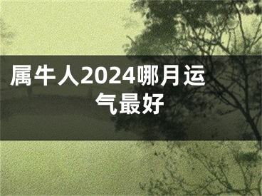 属牛人2024哪月运气最好