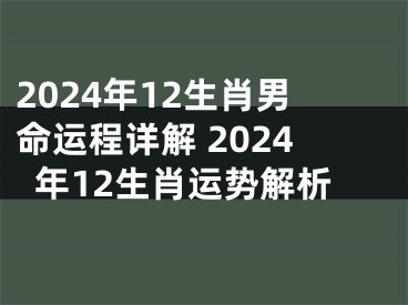 2024年12生肖男命运程详解 2024年12生肖运势解析