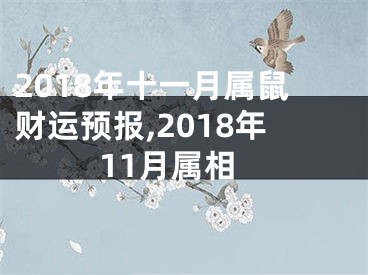2018年十一月属鼠财运预报,2018年11月属相