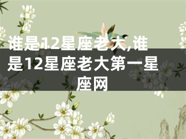 谁是12星座老大,谁是12星座老大第一星座网