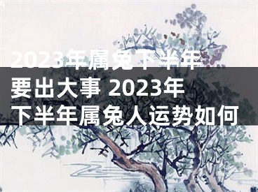 2023年属兔下半年要出大事 2023年下半年属兔人运势如何